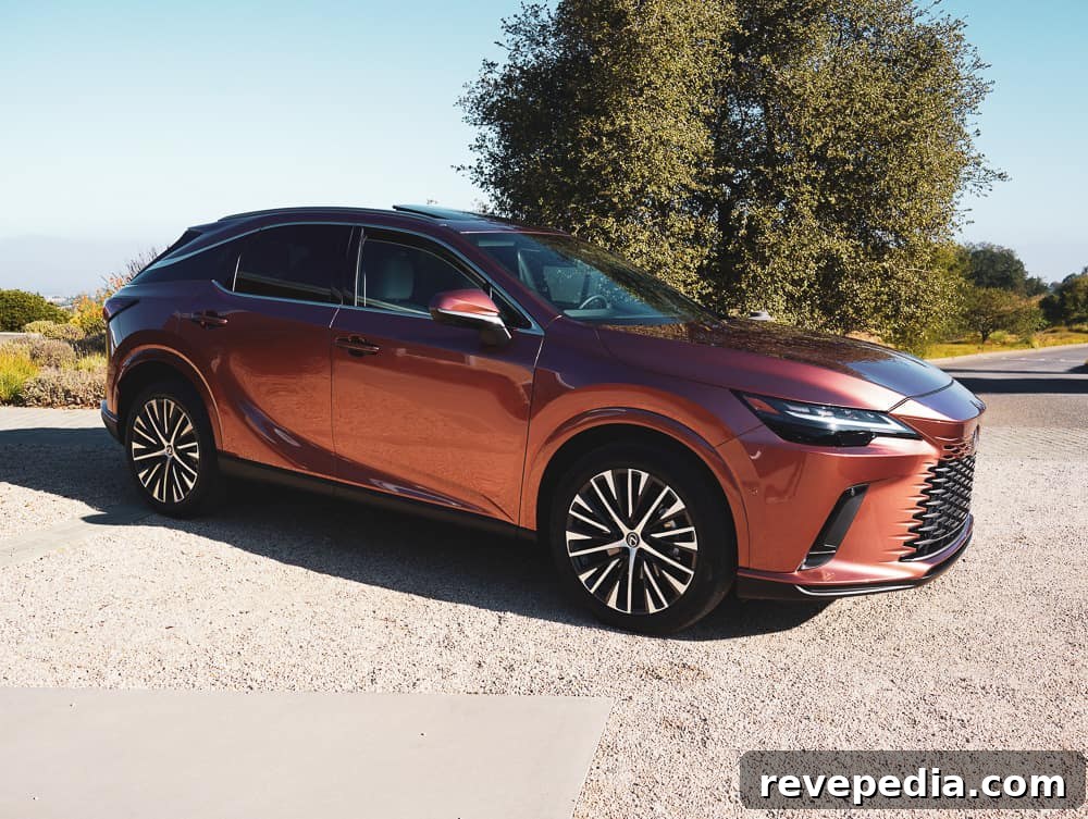 Lexus RX sport styling Lexus RX sport styling
