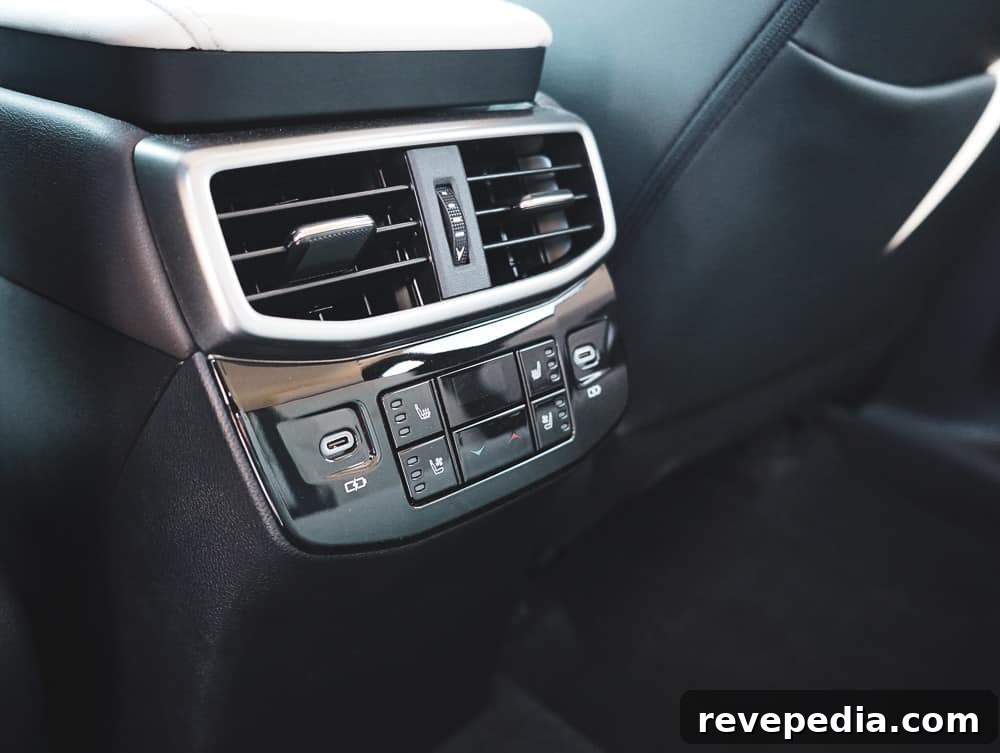Lexus RX trim details Lexus RX trim details