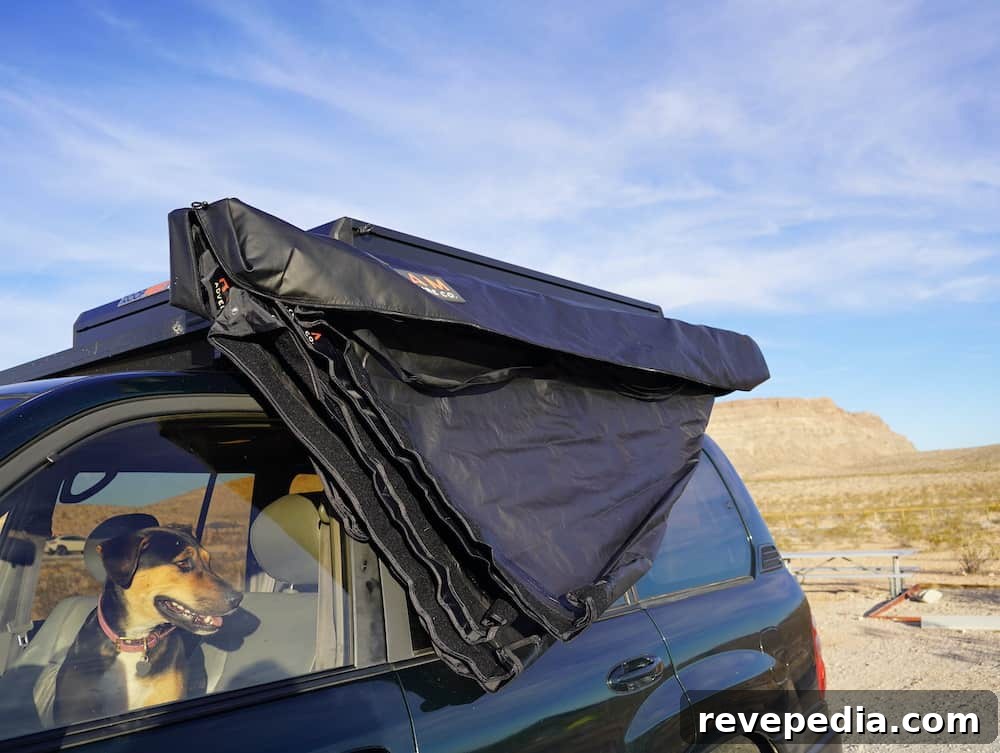 Upgrade Your Rig with the Roam ARC 270 Awning: Quick RV Add-On 9 img 31186 8