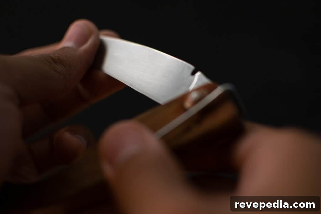 How to Choose the Right Steel for Your Pocket Knife 2 best steel for your pocket knife blade