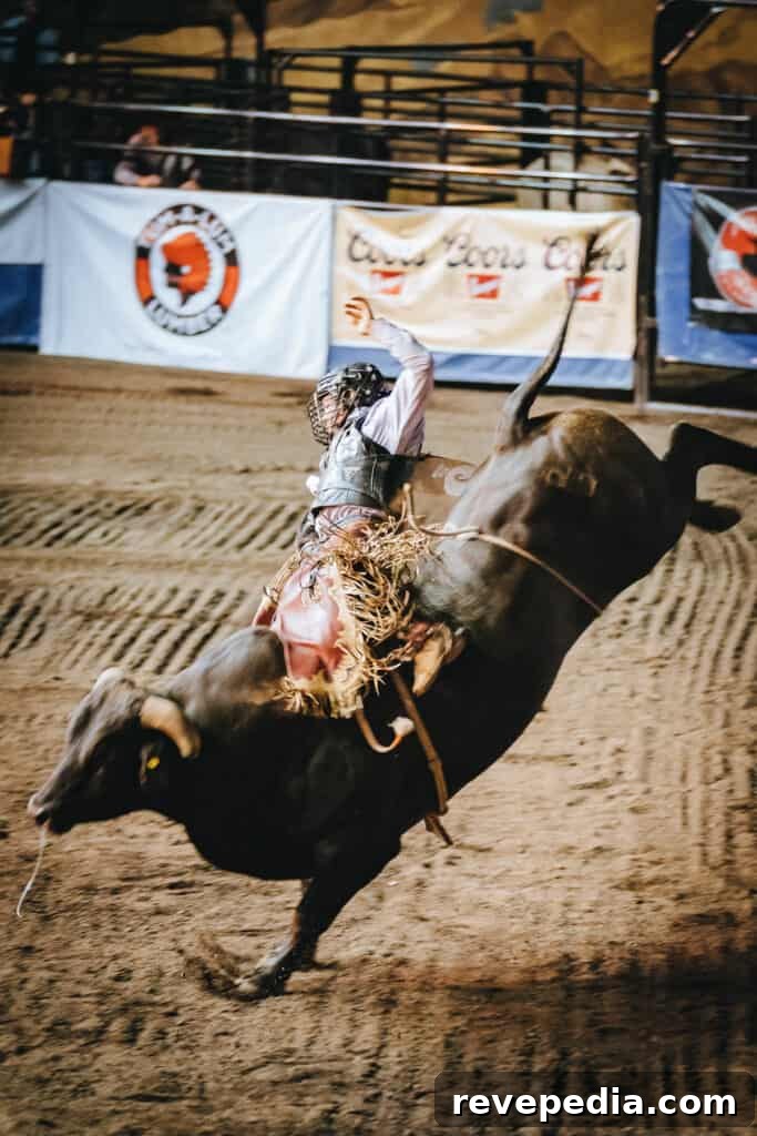 Ride Into the 113th Pendleton Round-Up Rodeo with Pendleton Whisky 14 Competitors preparing