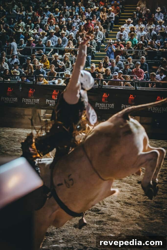 Ride Into the 113th Pendleton Round-Up Rodeo with Pendleton Whisky 15 Western heritage display