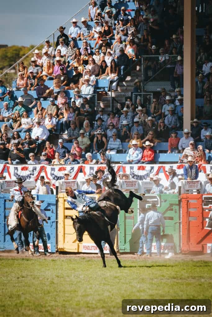Ride Into the 113th Pendleton Round-Up Rodeo with Pendleton Whisky 24 Rodeo team photograph