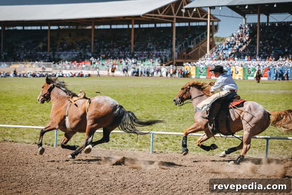 Ride Into the 113th Pendleton Round-Up Rodeo with Pendleton Whisky 25 Horse team in motion
