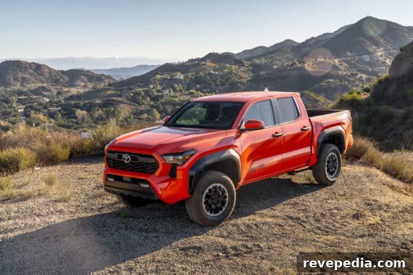Tacoma rear angle Tacoma rear angle