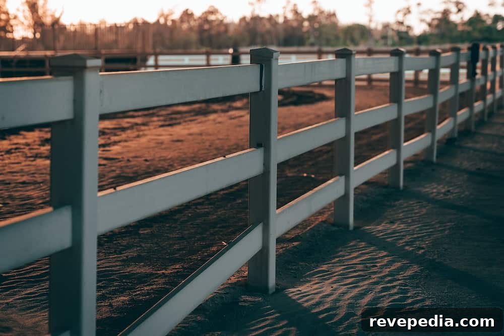 Preventing Post Heaving in Cold Weather: Expert Strategies That Work 2 fence post heaving