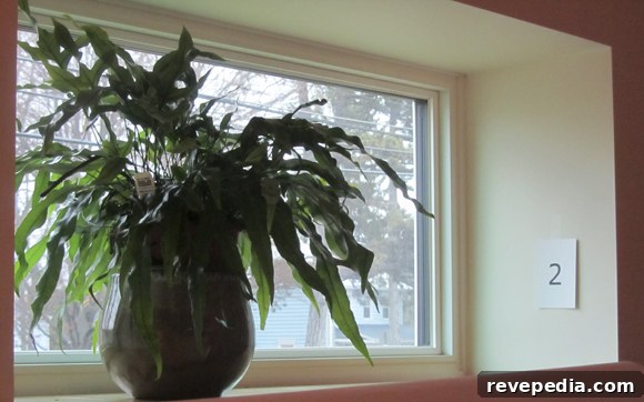 Inside Ohio’s First Passive House: A Guided Walking Tour 4 passive-house-tour-2.jpg