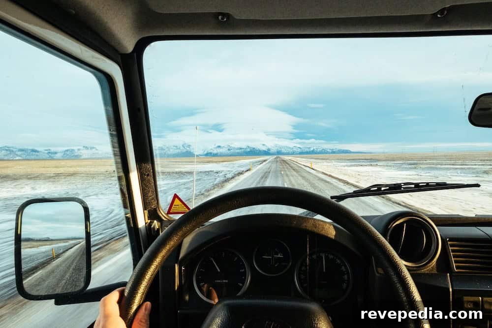 Enhance Your Drive with a Throttle Controller: Faster Response & Control 3 img 33217 2