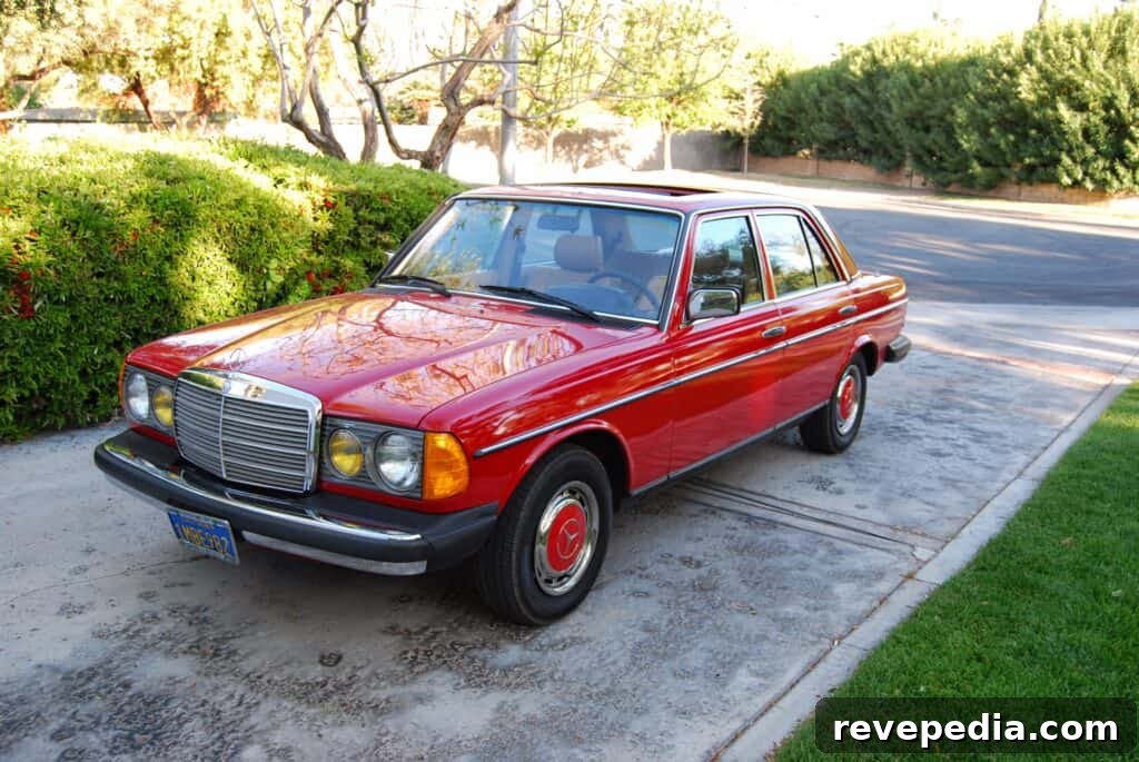 XPEL Ceramic Tint Review: Discreet Protection for Classic Mercedes-Benz 2 img 33390 1