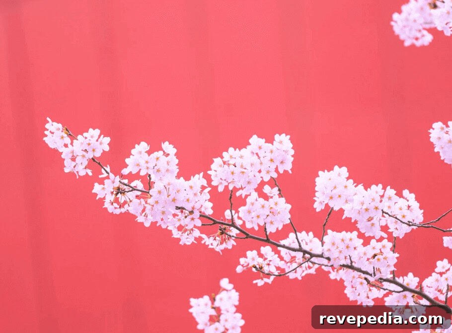 Wholesale Artificial Cherry Blossom Branches for Homes and Indoor Spaces 2 cherry blossom
