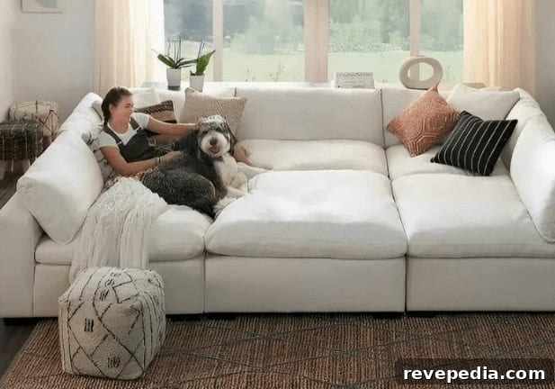Living Room Design