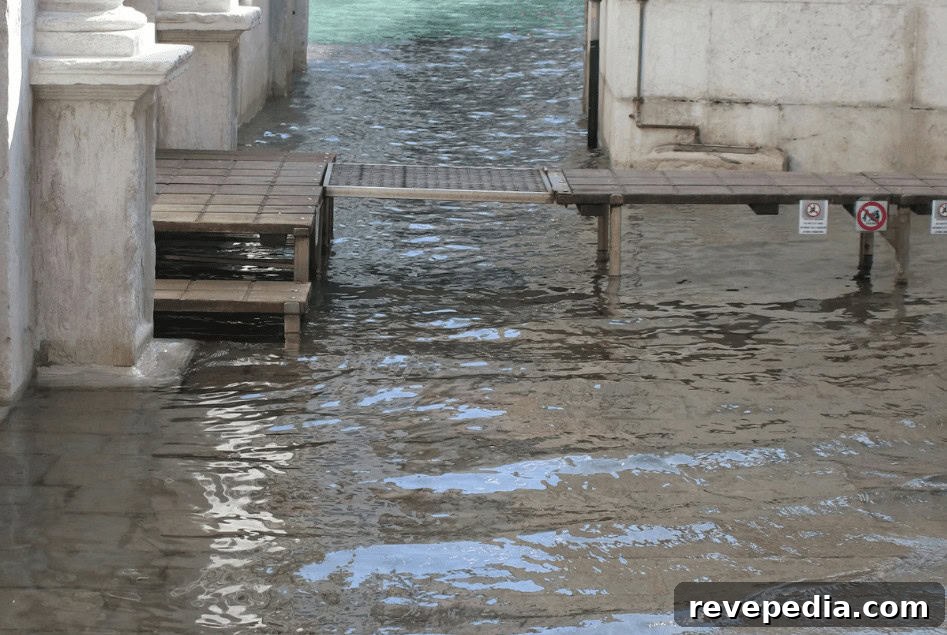 Flood Recovery Guide for Homeowners: Restore Your Home Fast 2 flooding