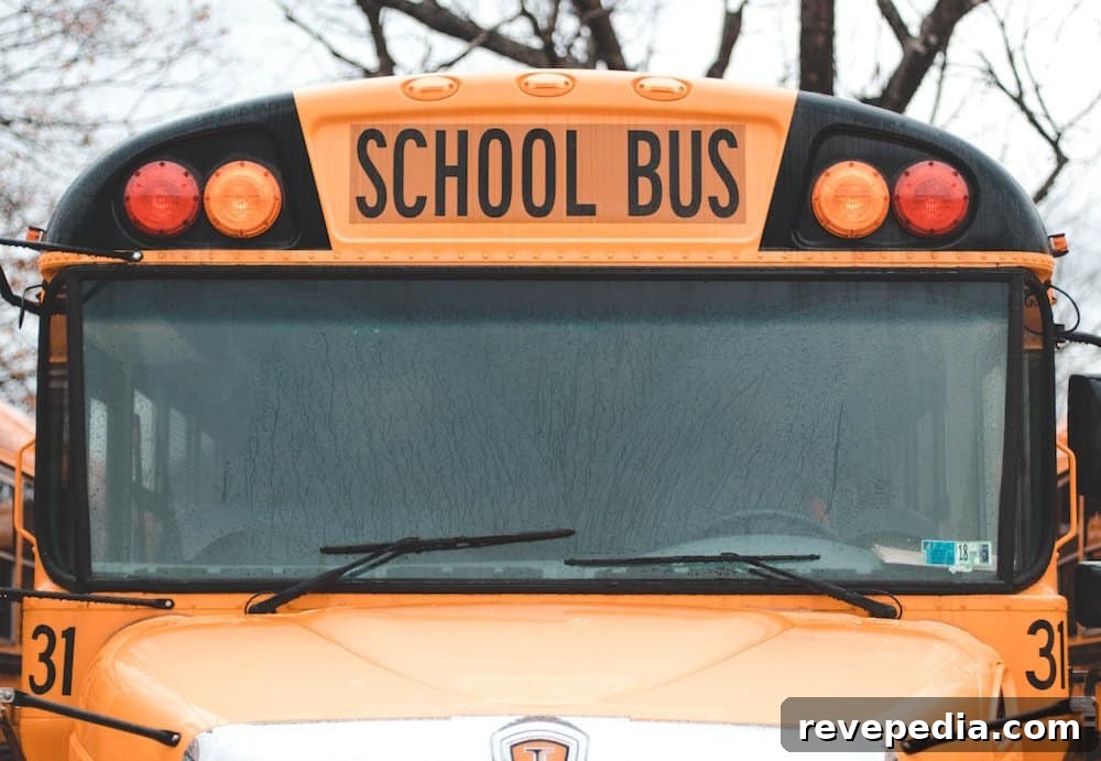 5 Ways to Deal with a Rude Neighbor Effectively 8 school bus