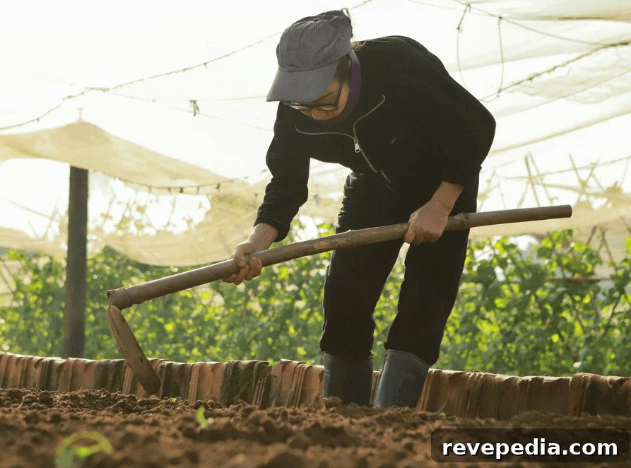 gardening
