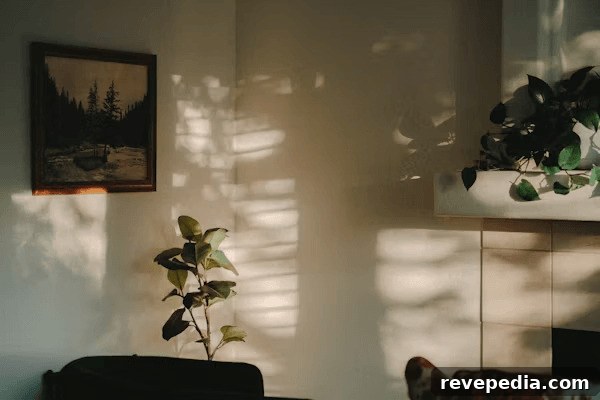a living room with a couch and a potted plant