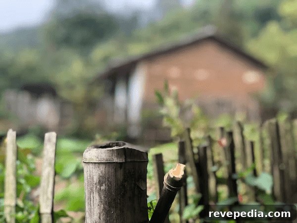 Prepare Your Yard for Safe Outdoor Play Areas 3 A tidy garden with a fence, suitable