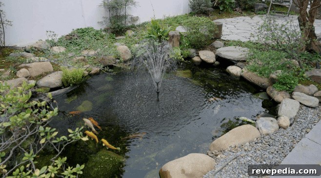 solar pond filter pump
