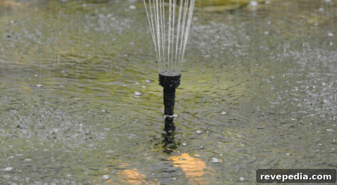 solar pond filter