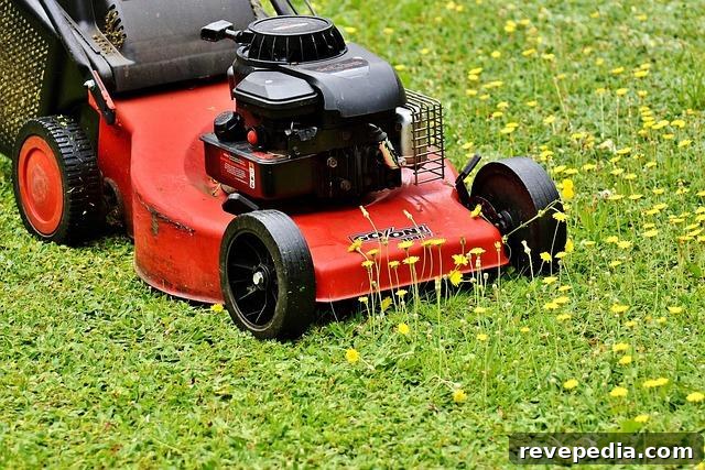 Choosing the Right Mower Blades for a Cleaner, Healthier Lawn 2 Lawn Mower Blades