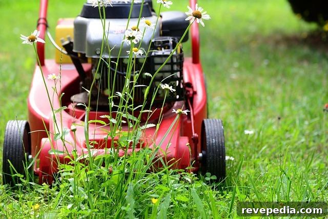 Choosing the Right Mower Blades for a Cleaner, Healthier Lawn 3 Lawn Mower