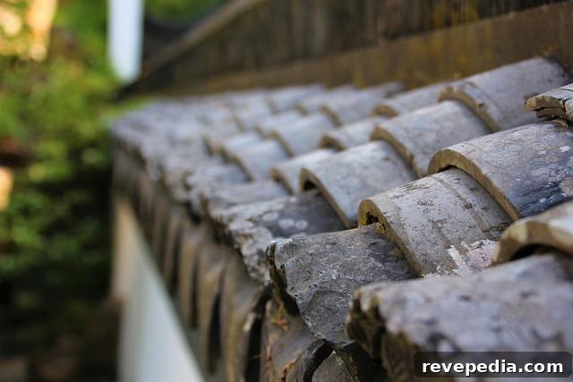 roofing replacement