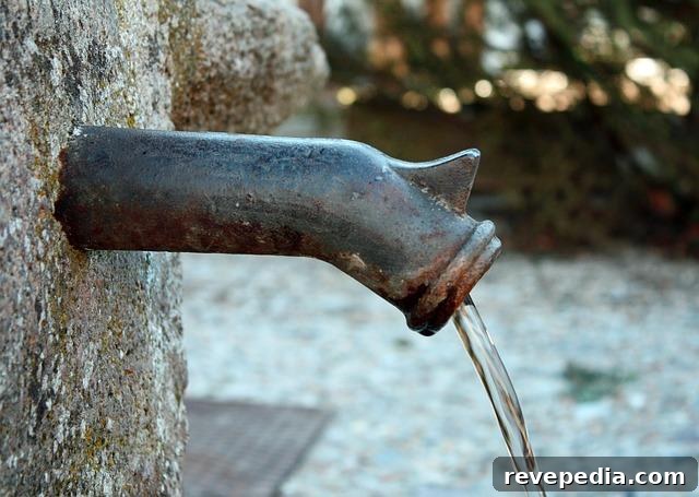 Old Homes' Hidden Plumbing Materials and Why They Matter in Renovations 3 plumbing problems