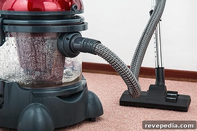 professional carpet cleaning