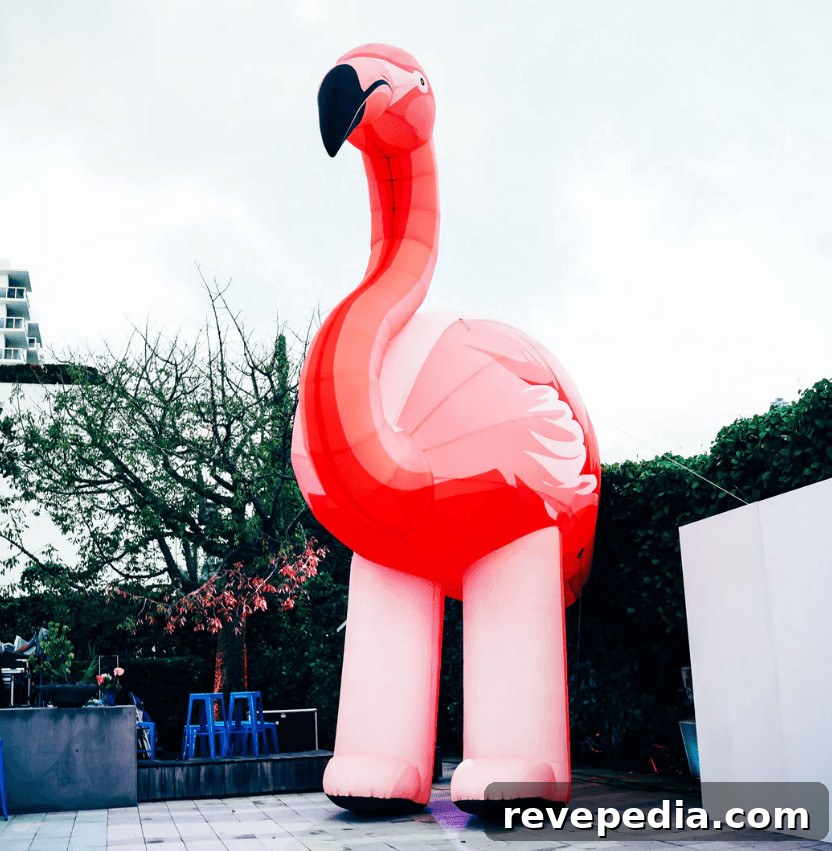 Setting Up Large Advertising Inflatables: Time Needed for Home, School & Community Events 2 Large Advertising Inflatables
