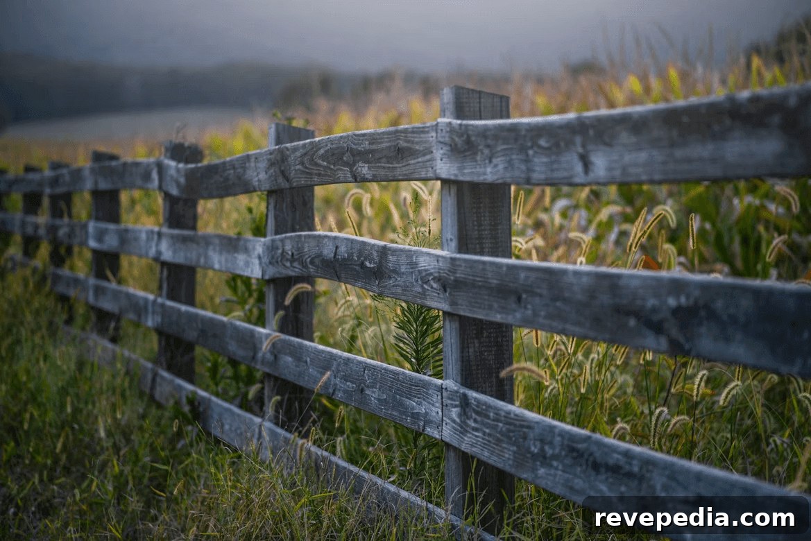 Wooden fence in a field of tall grass