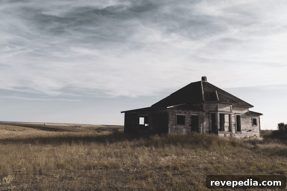 Reviving a Deceased Estate: Practical Home Renovation Tips 2 Old run-down house in a field
