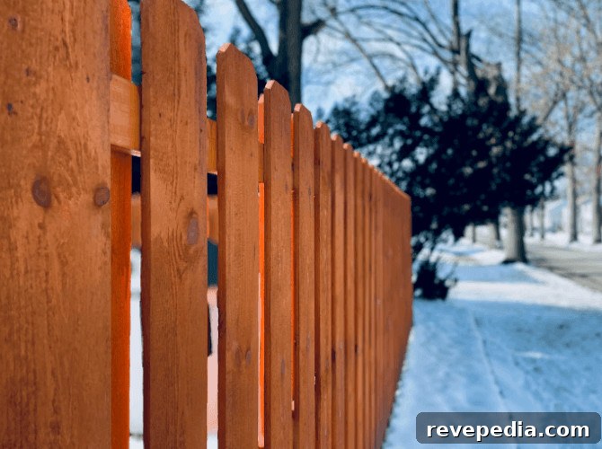 Timeless Wood Fence Designs for Elegant Outdoor Privacy 2 Wood Fence Ideas