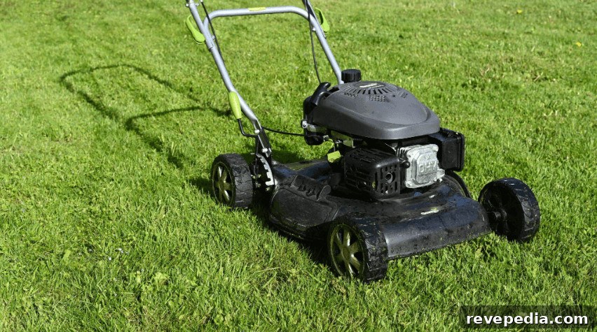 Lawn to Garage: The Seasonal Home Reset You Keep Postponing 3 lawn equipment
