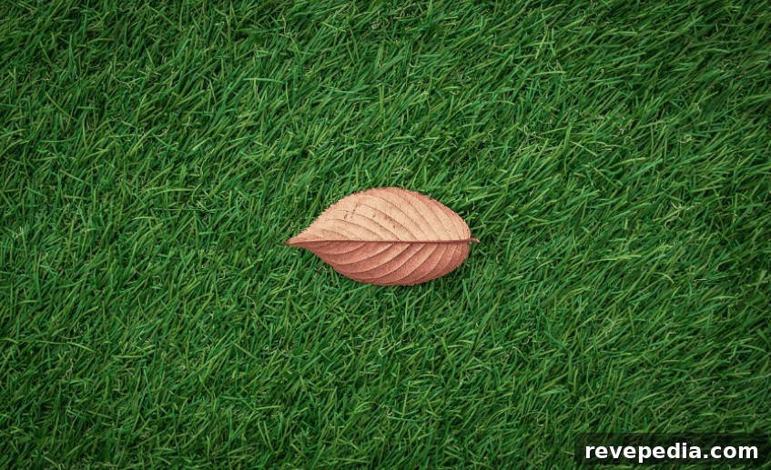 Natural Grass