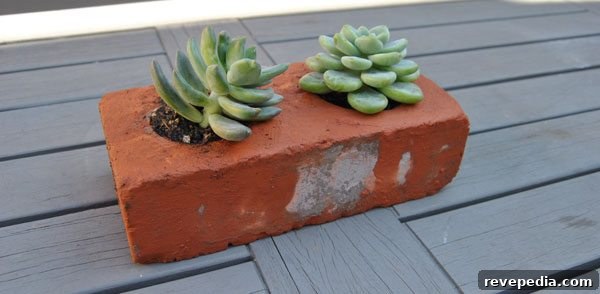 DIY Brick Succulent Planters: Step-by-Step Building Guide 8 succulent-planters