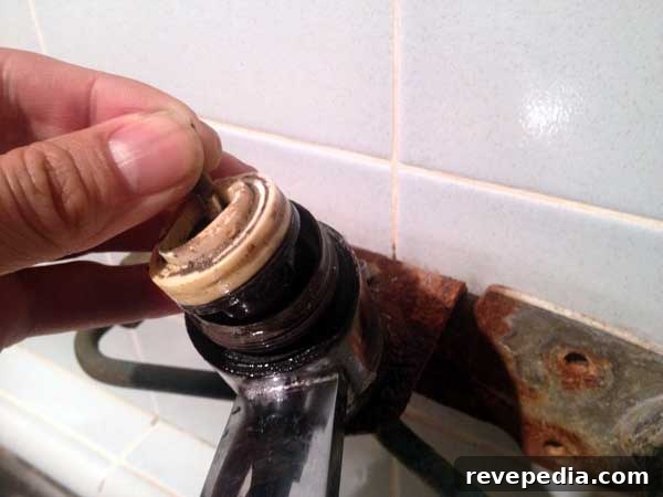 Stop a Dripping Kitchen Faucet: Quick Fixes and Tips 6 remove-ball