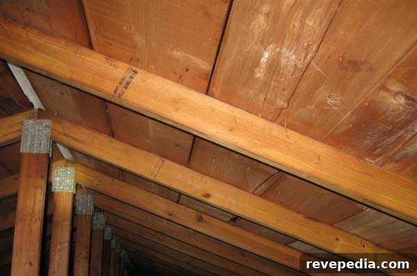 Why Is My House Creaking? Common Causes and Fixes 3 creaking roof