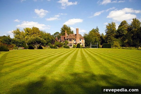 Save Water While Growing a Lush, Low‑Water Lawn 2 front-house-lawn
