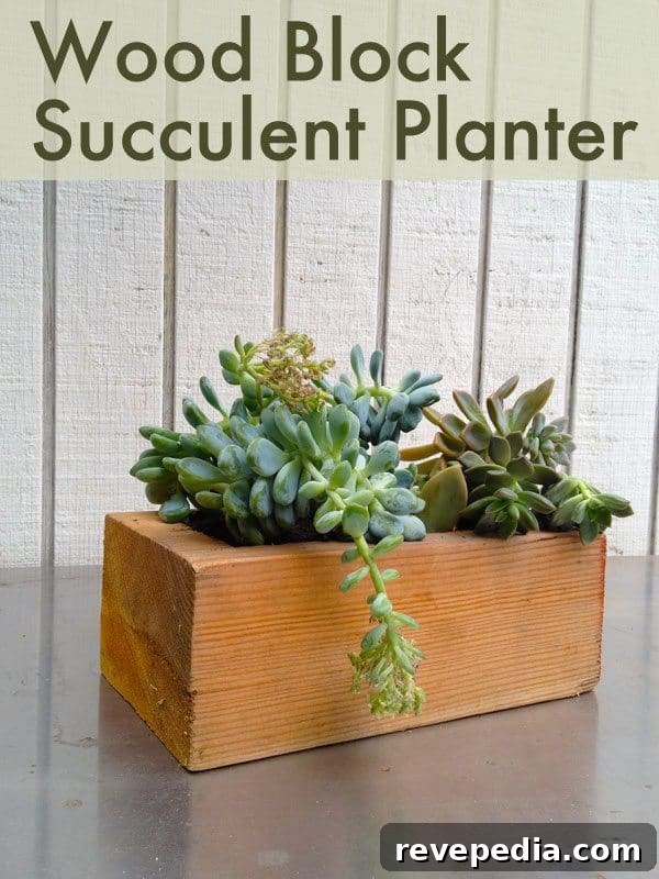 wood-block-succulent-planter