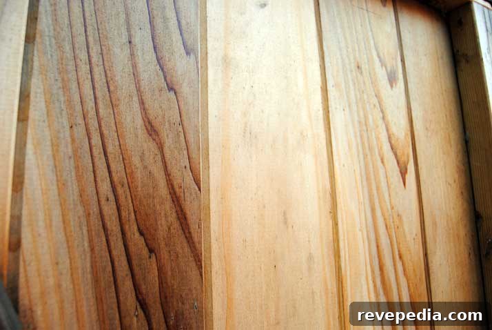 Thompson’s Tinted WaterSeal Waterproofing Stain — Color Guide & Uses 4 thompsons-cedar-wood