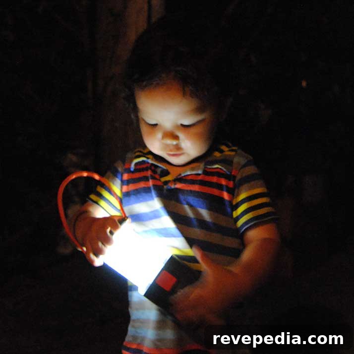 energizer-lantern-open