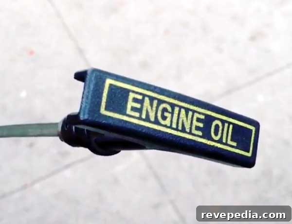 Maintain Engine Performance with Purolator Oil Filters 2 change-engine-oil