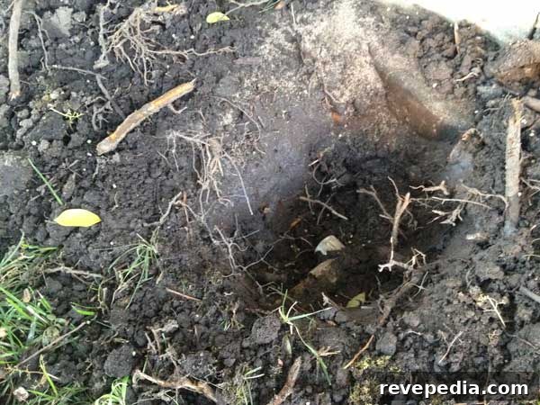 Replace a Broken Sprinkler Head: Step-by-Step Repair Guide 4 dig-roots