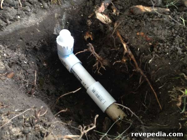 Replace a Broken Sprinkler Head: Step-by-Step Repair Guide 9 new-extension