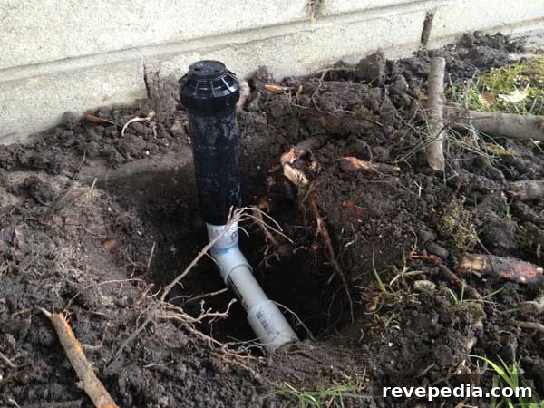 Replace a Broken Sprinkler Head: Step-by-Step Repair Guide 10 sprinkler-head-installed