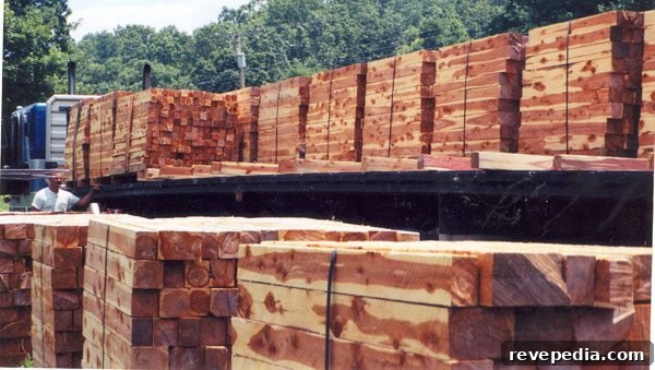 Hardwood vs Softwood: Choosing the Right Wood for Your Project 3 cedar-lumber-logs