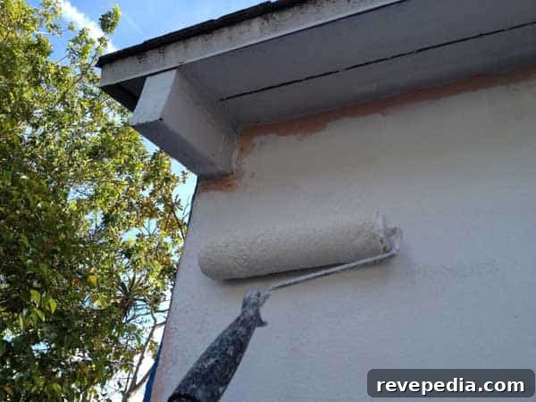 Pretty over Pink – Clark + Kensington Paint & Primer in One 8 roller