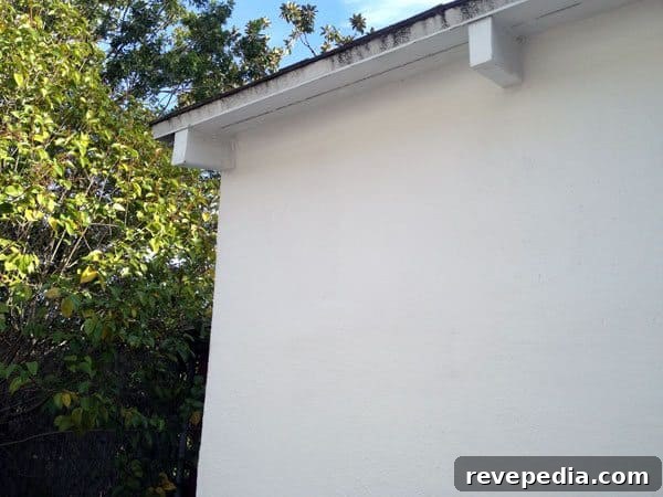 Pretty over Pink – Clark + Kensington Paint & Primer in One 9 clark-kensington-paint-finished