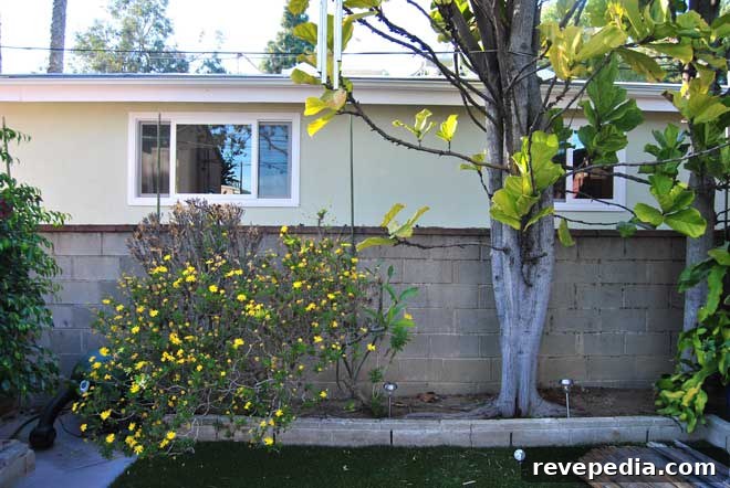 How to Build a Backyard Privacy Fence That Lasts 3 no-privacy-before
