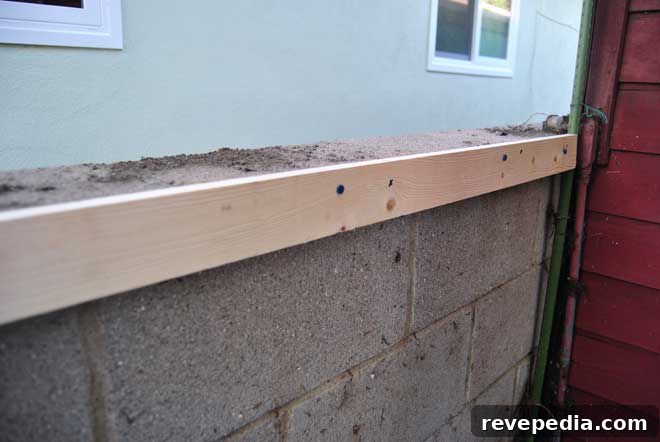 How to Build a Backyard Privacy Fence That Lasts 5 furring-strips