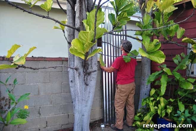 How to Build a Backyard Privacy Fence That Lasts 7 privacy-fence-install